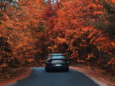 Veilig de weg op in de herfst: onmisbare tips voor automobilisten